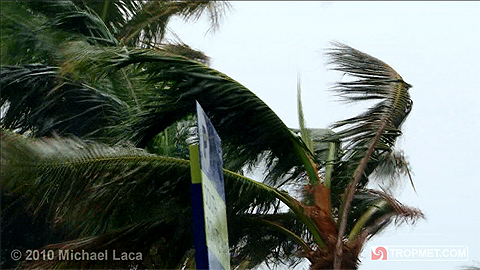 Tropical Storm Bonnie - Miami Beach, Florida